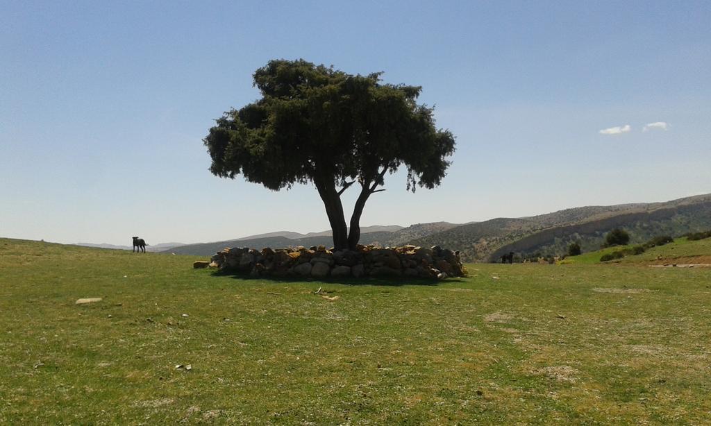 Gite Skoura Caid Bou Malla 외부 사진